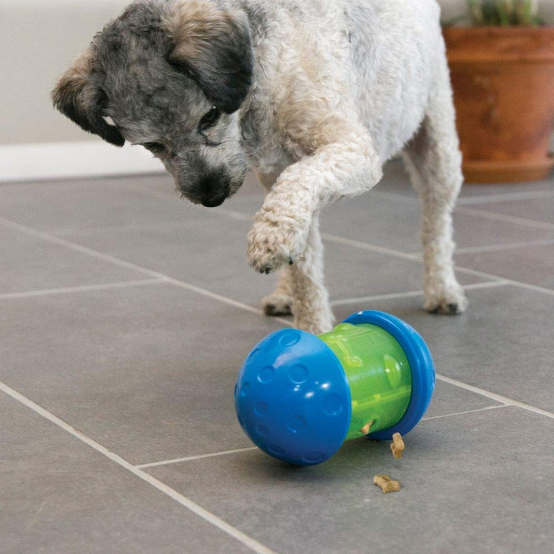 KONG Spin It Food Dispensing Dog Toy, Small - PawsPlanet Australia