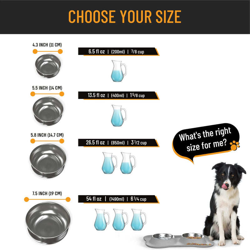 Active Pets Dog Bowl Set, Stainless Steel No Spill Mess-Proof Food & Water Dog Food Bowls with Skid Resistant Silicone Mat, Dog Bowls Small Size Dog, Medium, & Large, Pet Puppy Bowls & Dog Dishes 13½ oz each Cool Grey - PawsPlanet Australia