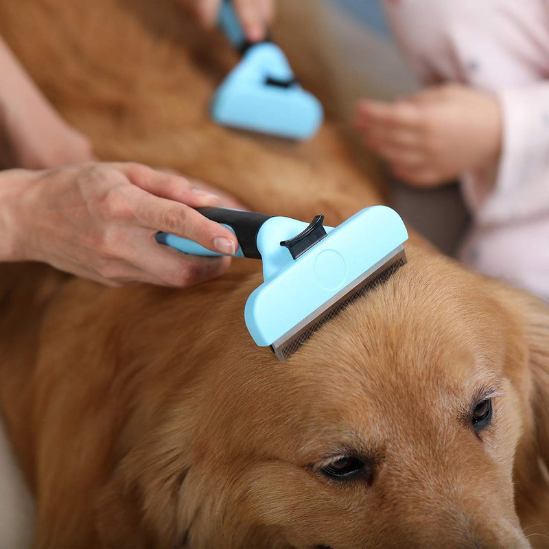 [Australia] - Samply Dog Shedding Brush for Long& Short Hair Pets Deshedding Tools for Dogs and Cats Large 