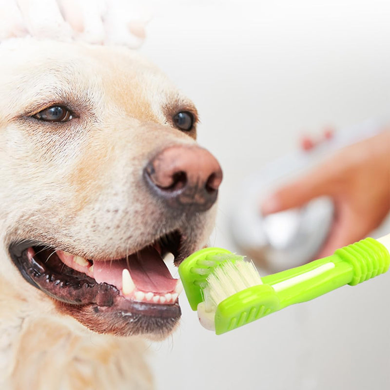 ZCSOWE Dog Toothbrush, Pack of 4 Pet Toothbrushes, Toothbrushes for Dogs, Pet Toothbrush Triple Head Toothbrush Cat Toothbrush Soft Pet Cat Dental Care Dog Oral Hygiene Deep Clean - PawsPlanet Australia