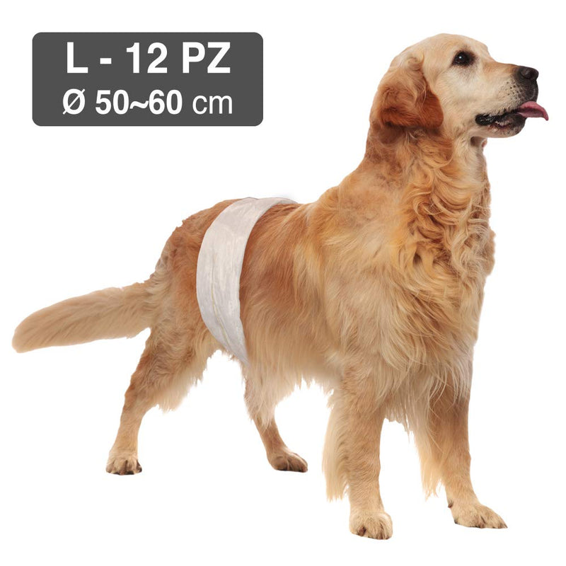 Croci Nappy Wrap for Male Dog, Large, 50-60 cm, 12-Piece - PawsPlanet Australia