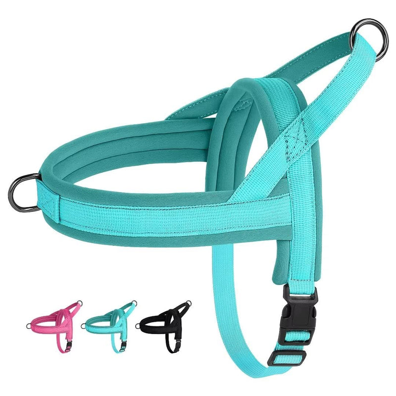 Beirui No Pull Dog Harness for Small Dogs Puppies, Soft Neoprene Quick Fit Harness with Durable Front Clip & Back Clip, Lightweight Easy for Daily Walking (Hot Pink,S) S:Chest 17-21", Neck 12" Hot Pink - PawsPlanet Australia