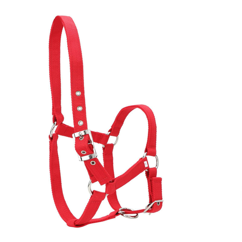 Horse Bridle, Adjustable Red Horse Riding Halter, PP Replacement for Restraint Horse Control Horse - PawsPlanet Australia