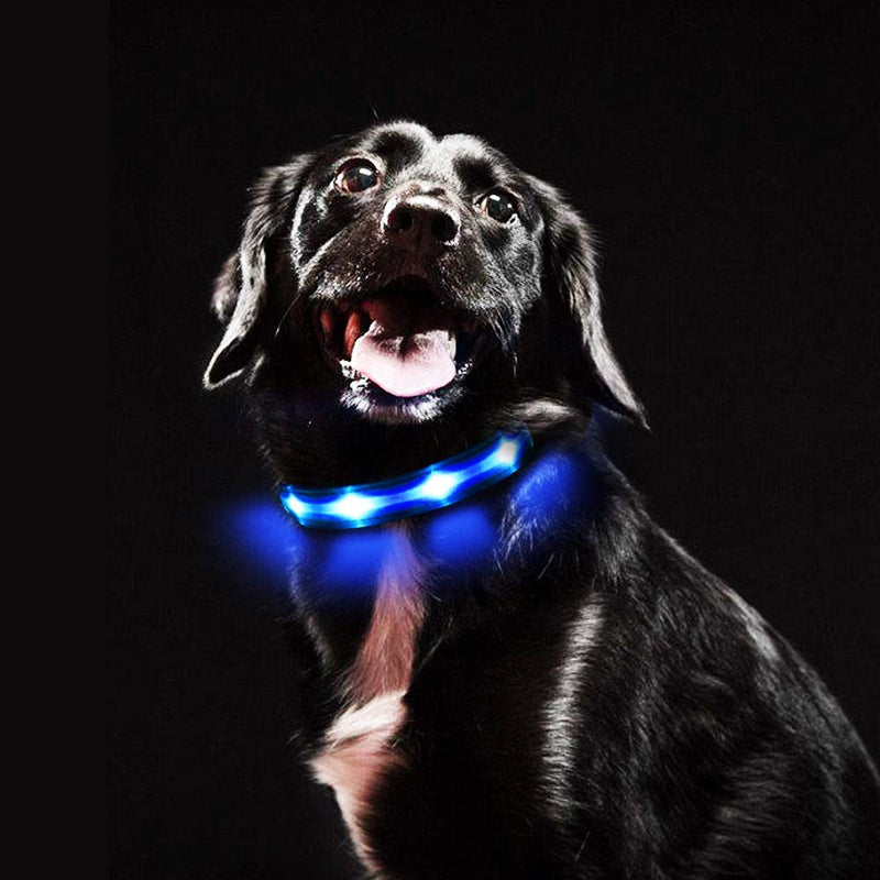 MASBRILL LED Light Up Dog Collar Rechargeable and Waterproof, Flashing Dog Collar for Night Safety, Glowing in the Dark Adjustable Collar for Small Medium Large Dogs(Blue, XS) XS (Pack of 1) Blue - PawsPlanet Australia