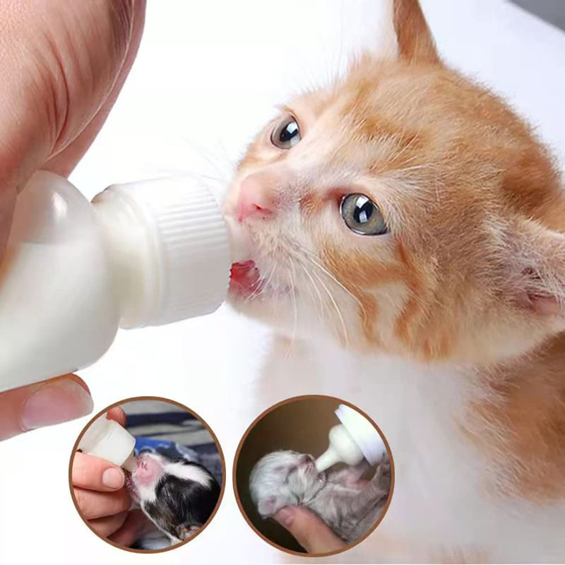 LAIYOHO Pet Feeding Bottle Kit with 4 Replacement Nipples and 1Pcs Nipple Brush Puppy Feeding Bottle for Kitten Puppy Small Pet Feeding Tool(60ml) - PawsPlanet Australia