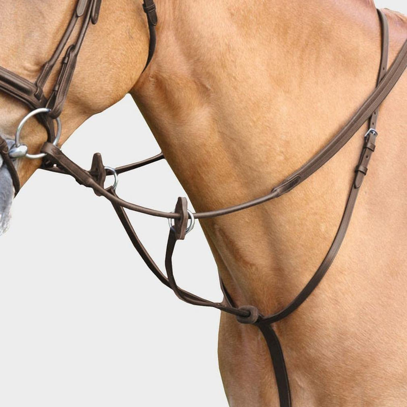 Aviemore Running Martingale, Brown, Cob - PawsPlanet Australia