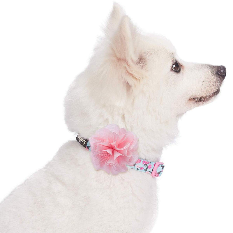 [Australia] - Blueberry Pet 10+ Patterns Made Well Floral Collection - Dog Collars, Harnesses, Leashes, Harness Dresses or Toys Collar - (12"-16") Neck * 5/8" Wide Light Blue with Flower 
