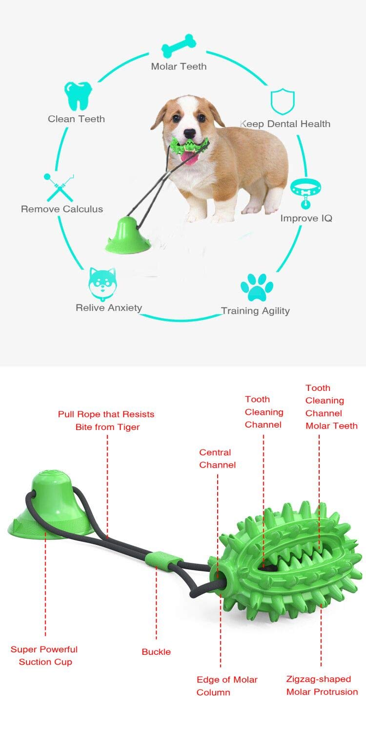 Dog toy, non-toxic and tough natural rubber pet molars, with suction cup, with dog tooth care multifunctional pet molars - PawsPlanet Australia