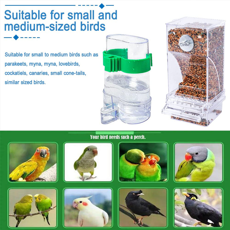 Hamiledyi No Mess Bird Feeders Automatic Parrot Feeder Drinker Acrylic Seed Food Container Parakeet Water Dispenser Cage Accessories for Lovebirds Budgies Canary Finch - PawsPlanet Australia