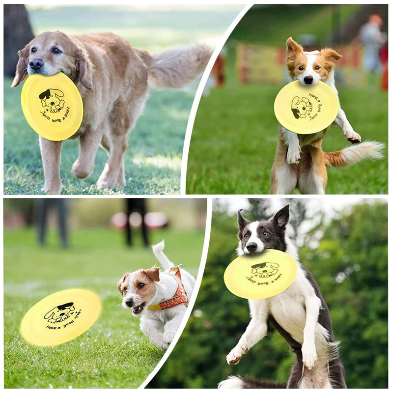 Dog Frisbee Plastic Dog Flying Disc Fine Workmanship Pet Training Outdoor Toy for Chihuahua Dog Small Puppies - PawsPlanet Australia