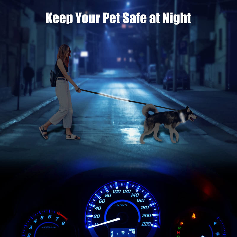 Muasegow LED Dog Collar，USB Rechargeable Dog Lights for Night Walking，Light up Dog Collars，Weatherproof，Adjustable for Puppies Medium Dogs Large Dogs，Include Light-Up Dog Leash S Black - PawsPlanet Australia