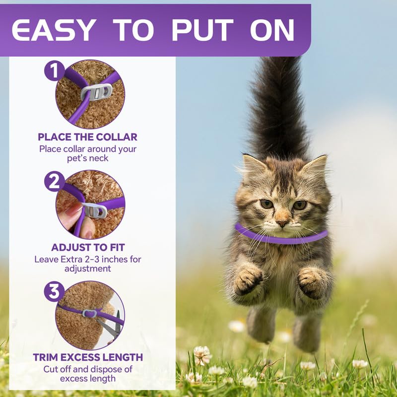 Calming Collar for Cats, Adjustable Calming Collar with Pheromones Cats, Waterproof Calming Collar for Cats Anti Stress for 60 Days for Kittens Large Cats Purple 2 Pieces Purple-2 Pieces - PawsPlanet Australia