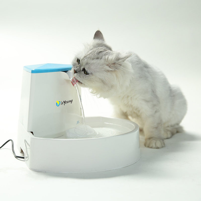 [Australia] - isYoung Pet Fountain, 84oz/2.5L Dog Fountain Automatic Water Dispenser for Dogs & Cats 