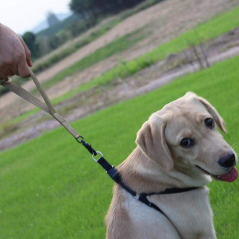 Dog Training Leash Rope Outdoor Camouflage Meet All You Needs for Large Dogs Running Walking ACU camouflage - PawsPlanet Australia