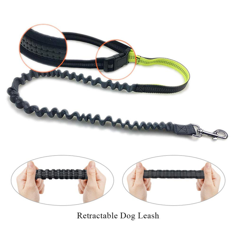 Andiker Hand-free Dog Leash Outdoor Running Adjustable Waist Belt Waterproof and Nylon Retractable Pet Leash Suitable for Most of Dogs (Green) Green - PawsPlanet Australia