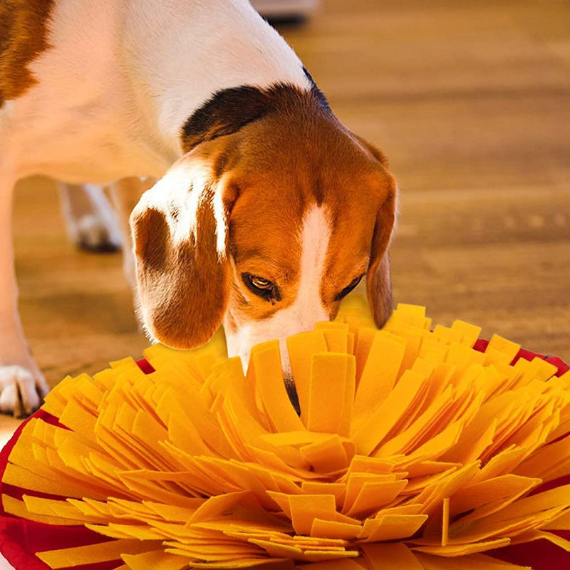 AWOOF Snuffle Mat for Dogs,Dog Feeding Mat Dual Use Portable Training Blanket for Consuming,Dog Puzzle Toy Encourages Natural Foraging Skills,Yellow Round Dog Sniffing Mat,Dog Nosework Mat - PawsPlanet Australia