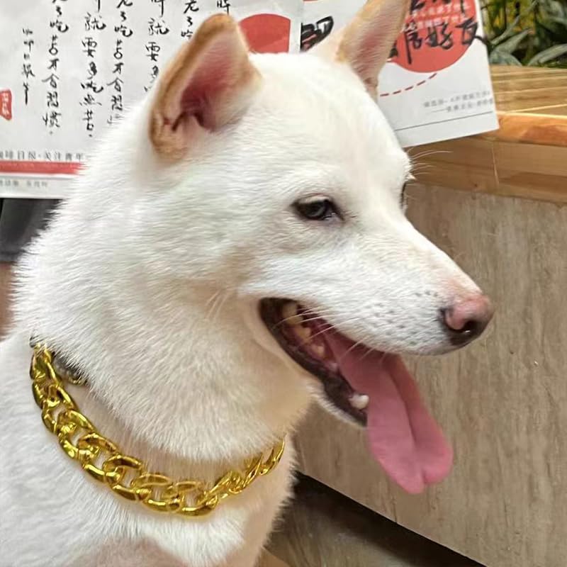 YangQian Dog Chain Necklace for Small Dogs Cat Chain Collars for Boy Girl Cats Cuban Link Dog Collar Choker Chain Adjustable Gold Chain Dog Collar Pet Cat Collar Chain Animal Dog Necklace Accessories Gold Chain Pet Collar - PawsPlanet Australia