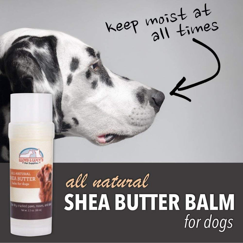 All Natural Shea Butter Balm for Dogs Treats Dry, Cracked, and Chapped Skin, Nose, and Paws. Coats, Soothes, and Heals Damaged Snouts and Pads. Mess Free and Easy to Use Application. - PawsPlanet Australia