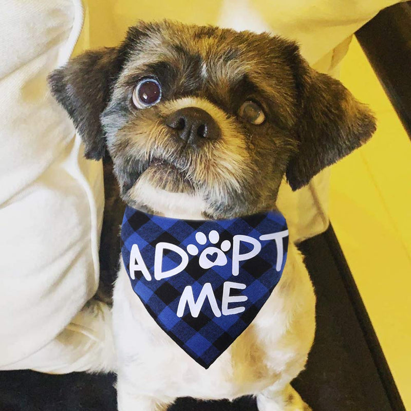 [Australia] - JPB 2 Pack Adopt Me Dog Bandana 