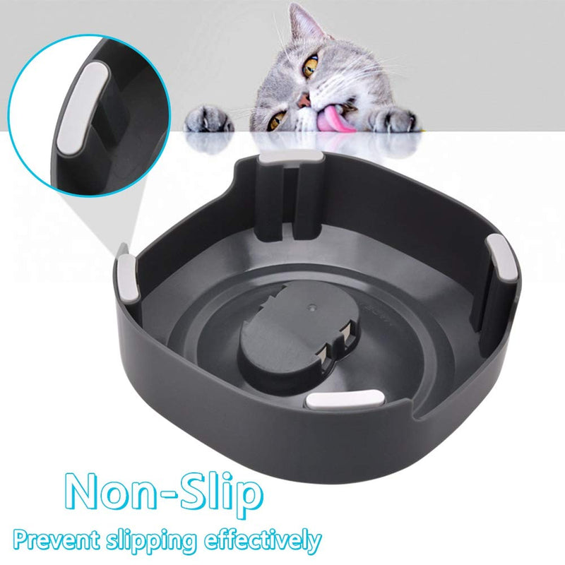 Raised Cat feeding Bowl, Stainless Steel Cat Food Dish Elevated with Non-Slip Stand, Tilted 15° Anti Vomiting Cat Bowl Designed for Kitty Kitten Adult Pet Whisker Fatigue Dishwasher Safe - PawsPlanet Australia