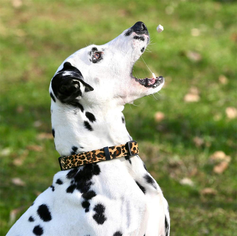 YUDOTE Adjustable Nylon Collar Premium Soft Flocking Fabric with Elegant Leopard Print for Small Dogs Neck 25-38cm S:25-38cm Neck,1.5cm Width Brown-Leopard - PawsPlanet Australia