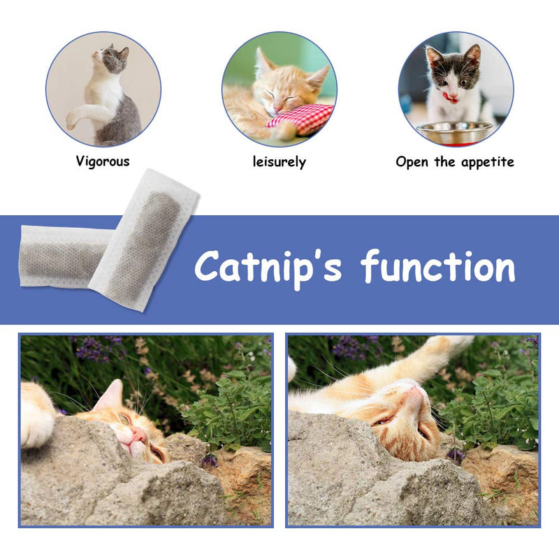 [Australia] - Jmxu's Catnip Toys for Cats Interactive Fish Shape Toothbrush Refillable Catnip Chew Toys for Cats Kitten Teeth Cleaning Blue,Pink&Orange 