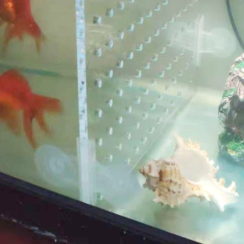 Alfie Pet - Ashley Aquarium Fish Tank Acrylic Divider Isolation Board (Suction Cup Included) Medium (Pack of 1) - PawsPlanet Australia