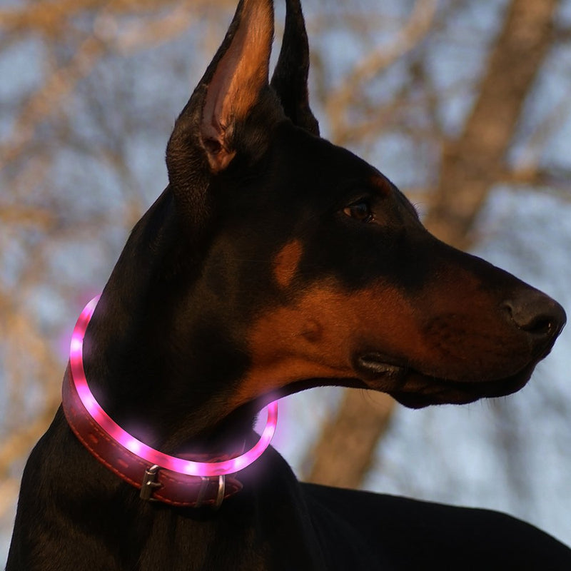 [Australia] - USB Rechargeable LED Dog Collar - Glowing Pet Collar for Dogs, Light Up Doggy Collars Keep Your Dogs Be Seen& Be Safe Adjustable Size Flashing Collars Pink-Silicone 