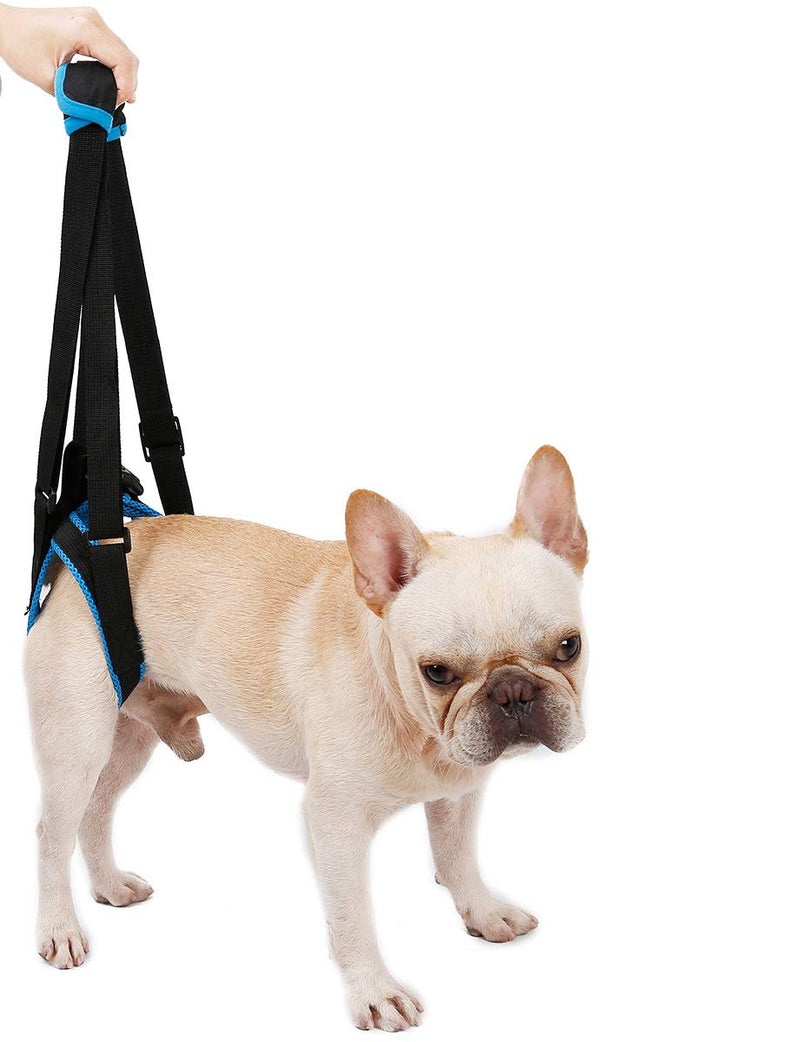 [Australia] - ZEEY Pet Dog Canine Sling Dog Lift Harness Dog Leg Brace Adjustable Straps for Hind Back Leg - Help Support Balance Dogs Harness for Arthritis Rehabilitation M 