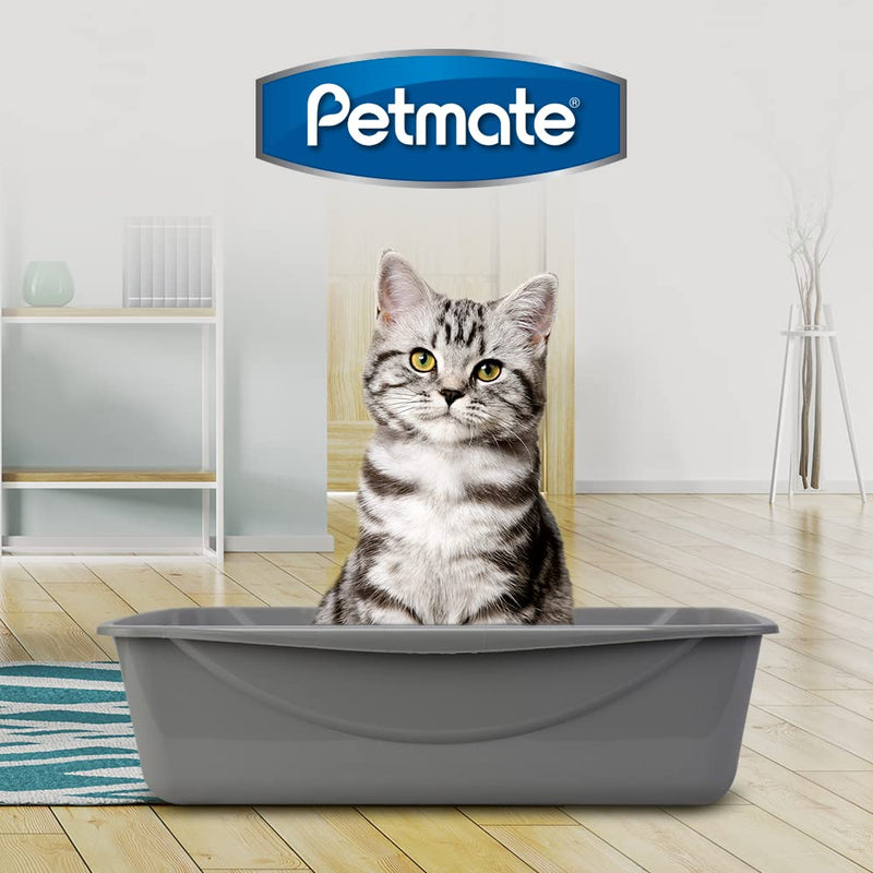 Petmate Open Cat Litter Box, Blue Mesa/Mouse Grey, Large - PawsPlanet Australia