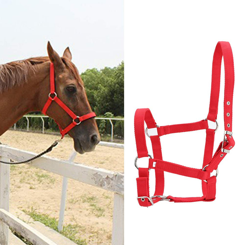 DAUERHAFT Webbing Horse Bridle clear texture Red Color for horse - PawsPlanet Australia
