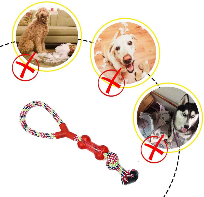 Dog Rope Toy Durable Dog Chew Toys Natural Cotton & Non-Toxic Tough Pet Rope Toys for Small Medium Large Dogs Set of 11 (Style01) Style01 - PawsPlanet Australia