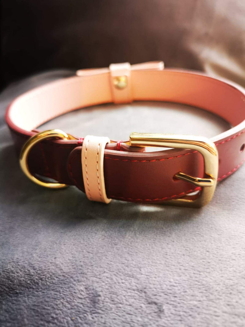 Luxury Dog Collar with bow detail, leather designer style (Small (38cm)) - PawsPlanet Australia