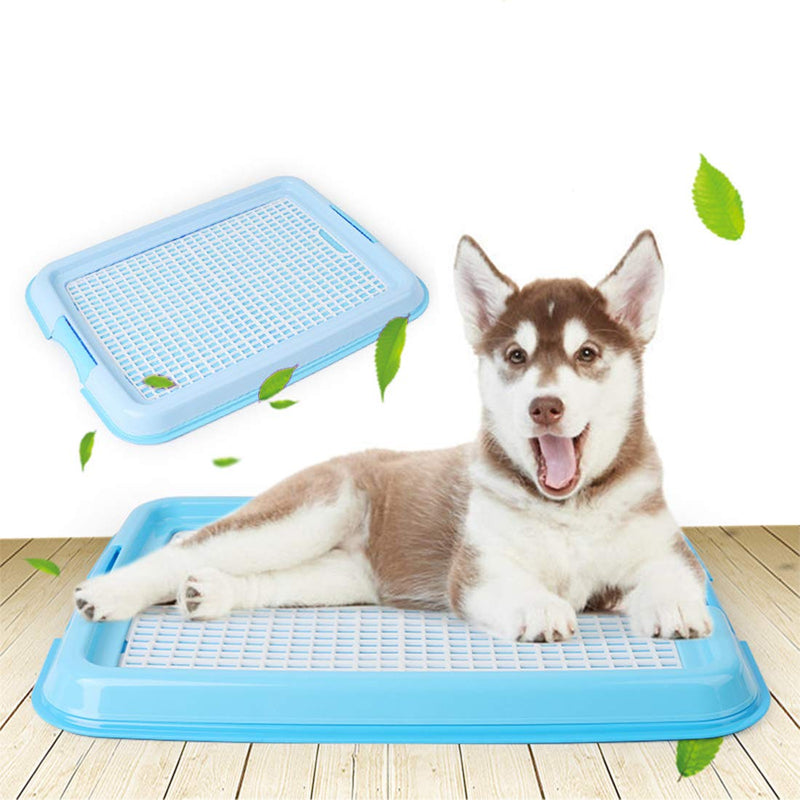 [Australia] - Petforu Dog Training Trays, Pet Toilet Training Pad Holder [Blue + White] 