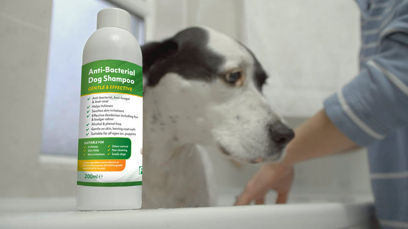 Aqueos Dog Shampoo | Antibacterial, Antiviral & Antifungal | Anti-Itch | Smelly Dogs | Itchy Dogs | Skin Irritations | Skin Soothing | 200 ml - PawsPlanet Australia