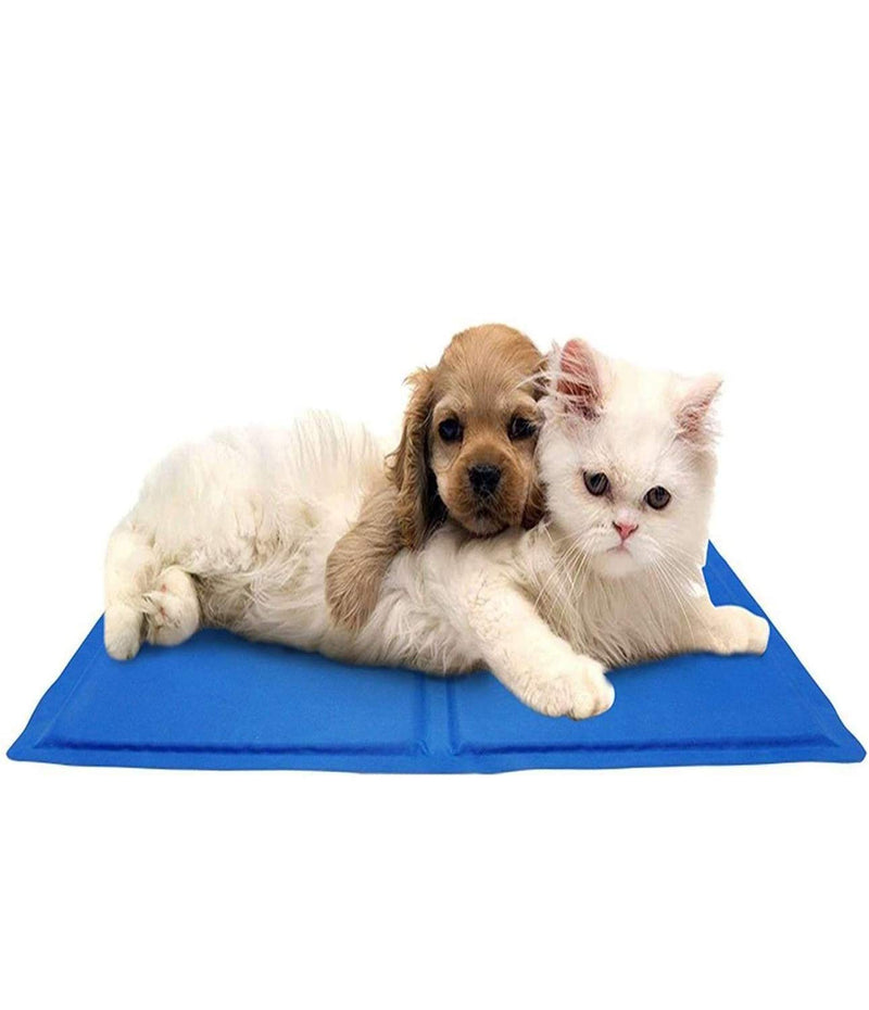 PMS Small 40cm x 30cm Crufts Branded Self Cooling Pet Dog Cat Gel Mat Travel Playing Training Pad - PawsPlanet Australia