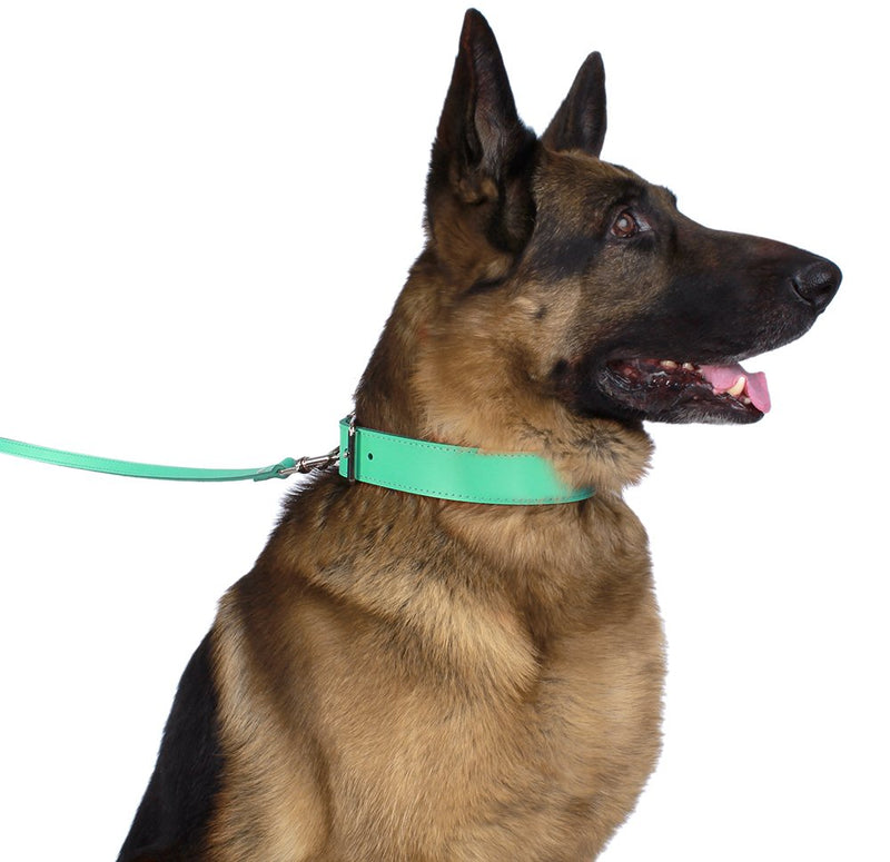 [Australia] - BRONZEDOG Handmade Genuine Leather Dog Collar, Puppy Leather Collar for Dogs, Small Medium Large, Pink Red Blue Green Turquoise White Yellow Neck Size 13" - 15" 