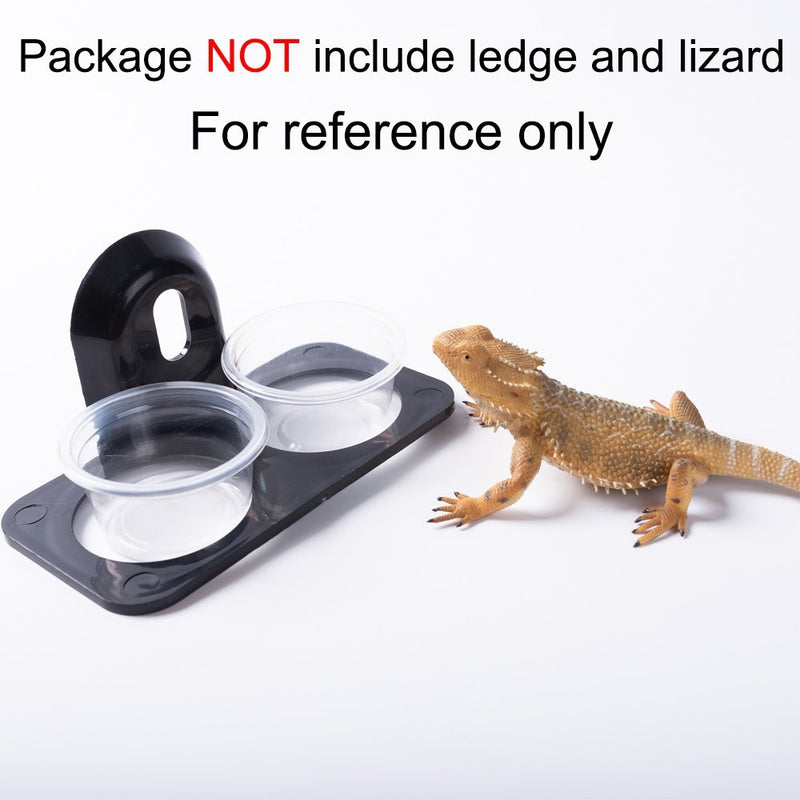 SLSON 100 Pack Gecko Food and Water Cups Gecko Ledge Cups Reptile Worm Bowl Mealworm Feed Feeder for Lizard Leopard Gecko Crested Gecko and Other Small Pets, 1 Oz - PawsPlanet Australia