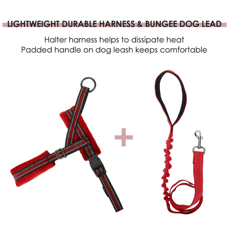 [Australia] - SlowTon No Pull Small Dog Harness and Leash, Heavy Duty Easy for Walk Vest Harness Soft Padded Reflective Adjustable Puppy Harness Anti-Twist 4FT Pet Lead Quick Fit for Small Dog Cat Animal XX-Small Red 