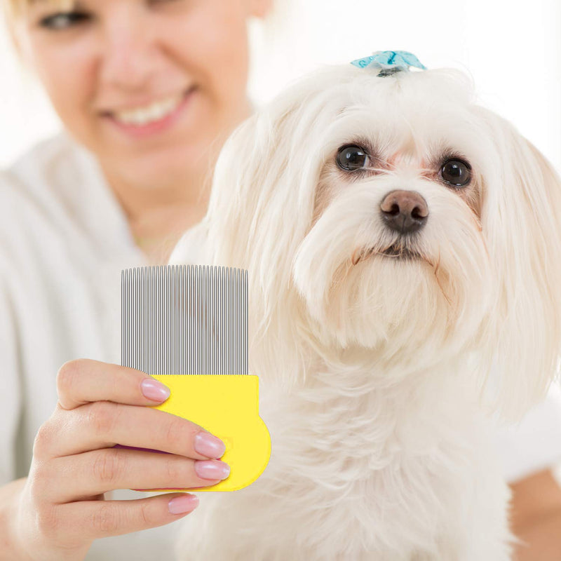 6 Pieces Flea Comb for Cats Dogs Lice Combs Fine Tooth Comb Grooming Set Remove Float Hair Tear Marks Tick Removal Tool - PawsPlanet Australia