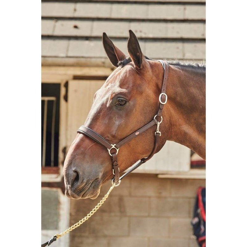John Whitaker Ready to Ride Headcollar Black Cob - PawsPlanet Australia