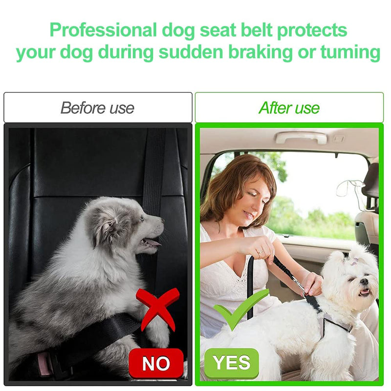 Dog belt for car, seat belt dog car, dog seat belt car, dog seat belt car, seat belt dog car, dog car, dog belt, dog harness car, car harness dog, dog belt car, 4 pieces black, 4 pieces - PawsPlanet Australia