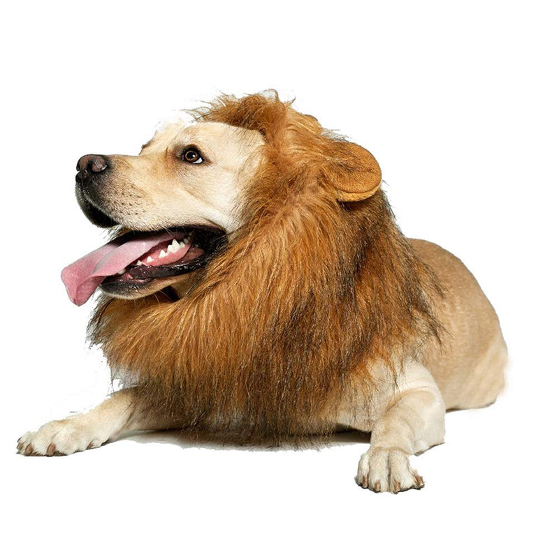 [Australia] - Fashionme Lion Mane Wig with Ears for Dog Pet Realistic Funny Costumes Fancy Hair Clothes Dress Large Dark Brown 
