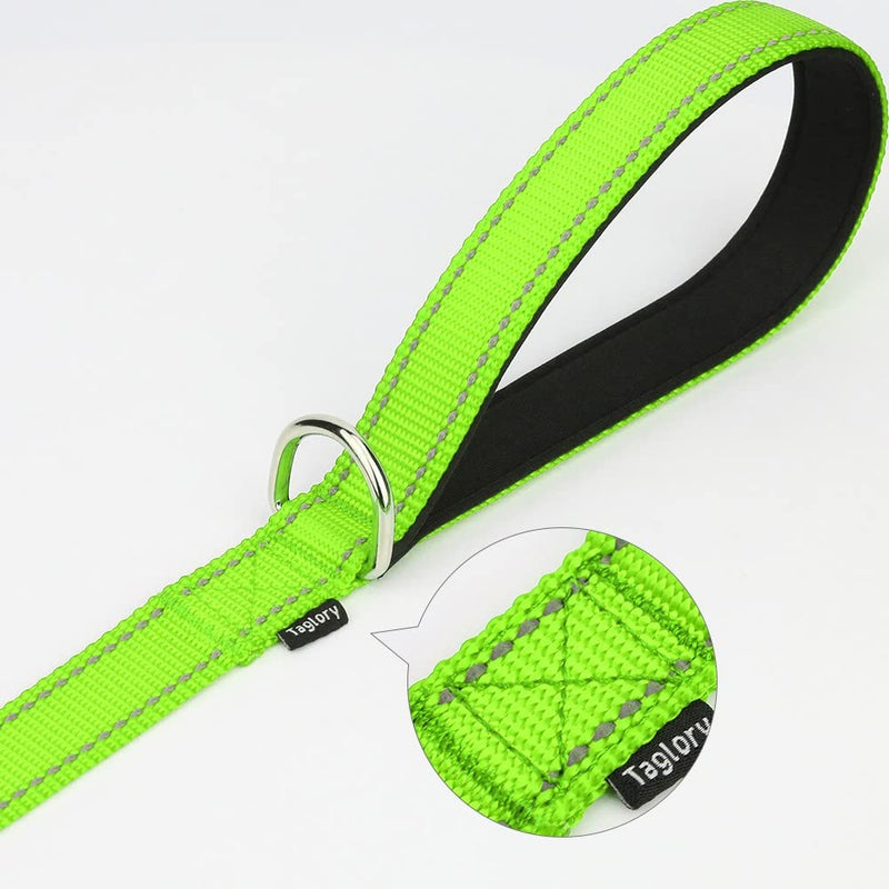Taglory Dog Leash Small Dogs Lightweight | Double-sided reflective | Padded handle | Up to 10kg | 1.8mx 2cm | Green 1.8 m x 2.0 cm (pack of 1) - PawsPlanet Australia