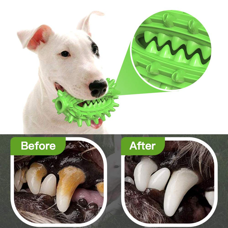 Dog Chew Toy Toothbrush Teeth Cleaning Toy 2020 New Upgraded |Cactus Shaped Indestructible Tough Interactive Dog Toy | Dog Rope Toy for Small, Large Dogs and Aggressive Chewers green - PawsPlanet Australia