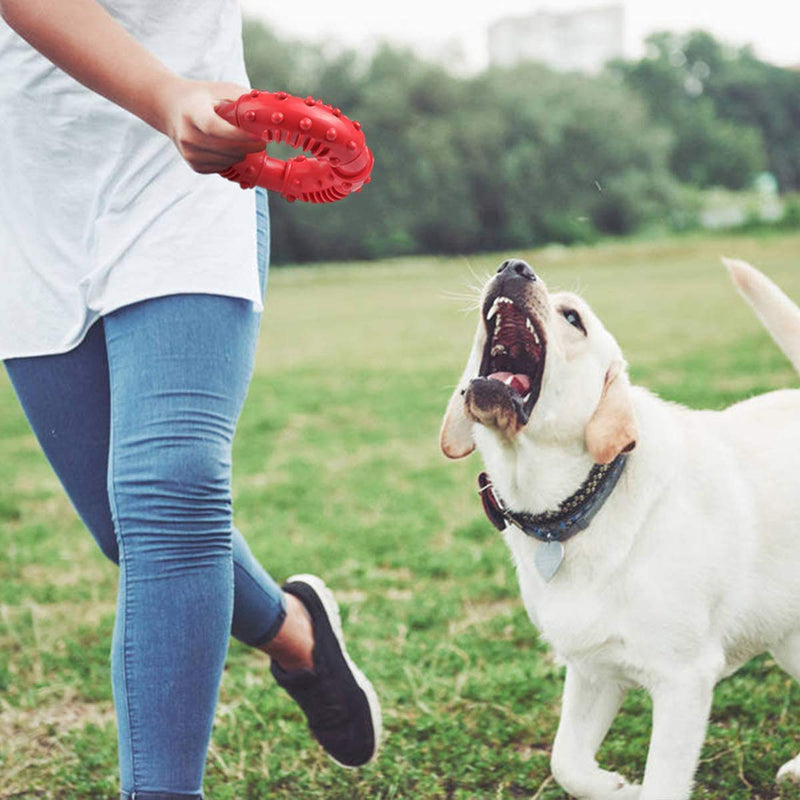 BundleMall Dog Molar Rubber Ring Puppy Chew Circle Bite Resistant Pet Toy,Dog Interactive Circle,for Teeth Cleaning and Training Pool Floating Chew Ring Toys (red) red - PawsPlanet Australia