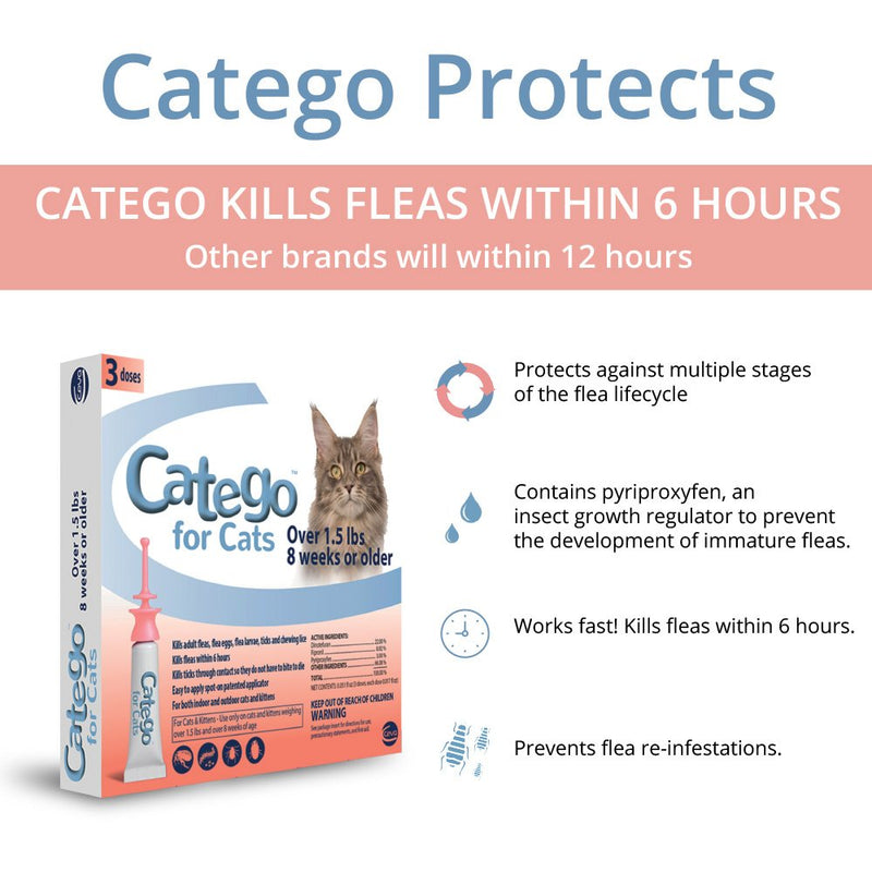 Catego Fast-Acting Flea and Tick Treatment For Cats/Kittens (Over 1.5 lbs) Kills Fleas Within 6 Hours, Prevents Flea Re-Infestations - PawsPlanet Australia