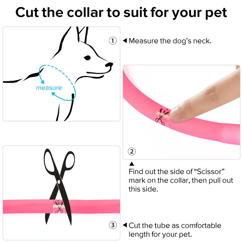 [Australia] - HiGuard LED Dog Collar, USB Rechargeable Glowing Pet Safety Collars, Adjustable Water-Resistant Flashing Light Up Necklace Collar Make Your Dogs High Visible & Safe in the Dark (1 Pack-Pink) 