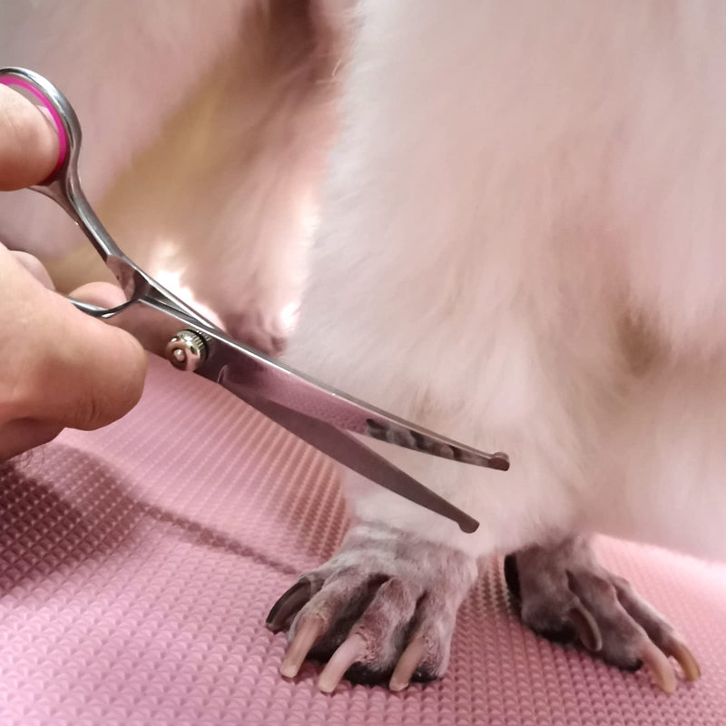 Dog Grooming Scissors Kit with Safety Round Tips Stainless Steel Professional Dog Grooming Shears Set - Thinning, Curved Scissors and Comb for Dog Cat Pet - PawsPlanet Australia