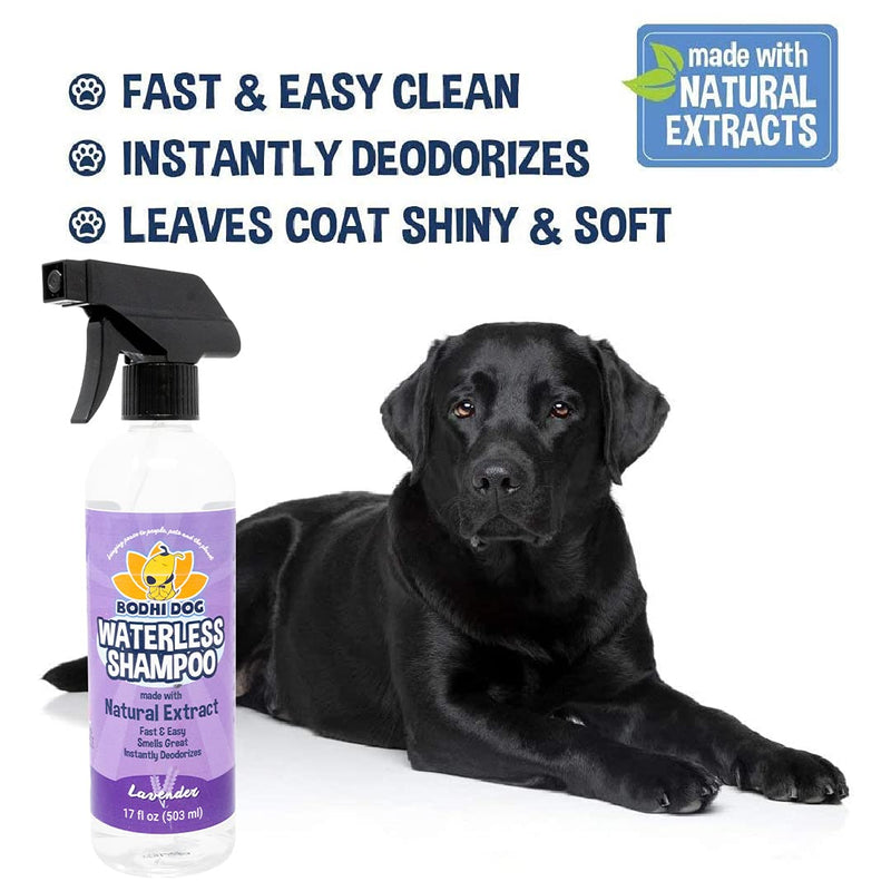 New Waterless Dog Shampoo | All Natural Dry Shampoo for Dogs or Cats No Rinse Required | Made with Natural Extracts | Vet Approved Treatment - Made in USA - 1 Bottle 8oz (240ml) Lavender Waterless 17oz - PawsPlanet Australia